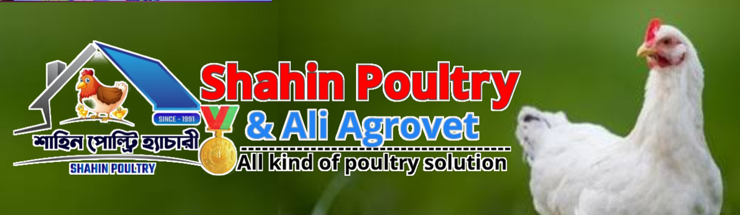 www.shahinpoultry.com